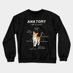 Cat Anatomy - funny, cute, cat gift idea Crewneck Sweatshirt